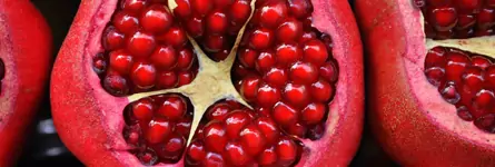 Bild_Grapefruit