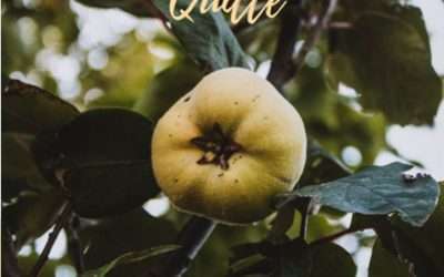 Quietschfidel mit Quitten