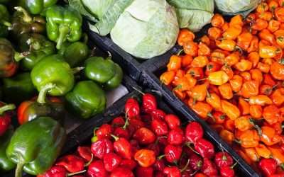 Slow Food vs. Fast Food